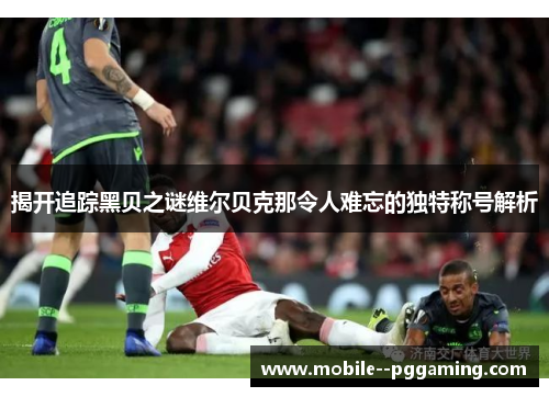 揭开追踪黑贝之谜维尔贝克那令人难忘的独特称号解析 揭开追踪黑贝之谜维尔贝克那令人难忘的独特称号解析