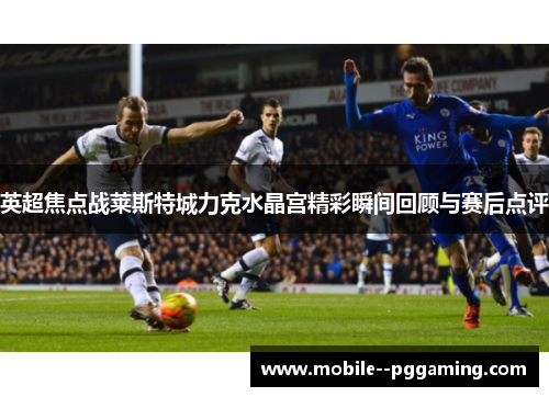 英超焦点战莱斯特城力克水晶宫精彩瞬间回顾与赛后点评 英超焦点战莱斯特城力克水晶宫精彩瞬间回顾与赛后点评