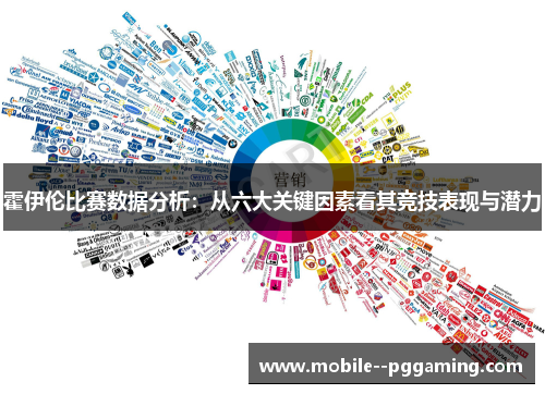 霍伊伦比赛数据分析：从六大关键因素看其竞技表现与潜力