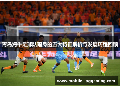 青岛海牛足球队前身的五大特征解析与发展历程回顾