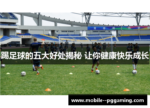踢足球的五大好处揭秘 让你健康快乐成长 踢足球的五大好处揭秘 让你健康快乐成长