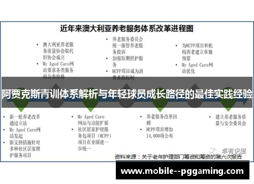 阿贾克斯青训体系解析与年轻球员成长路径的最佳实践经验