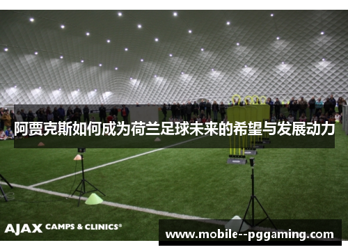 阿贾克斯如何成为荷兰足球未来的希望与发展动力